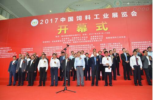 333体育-全网最有气氛的体育赛事直播平台