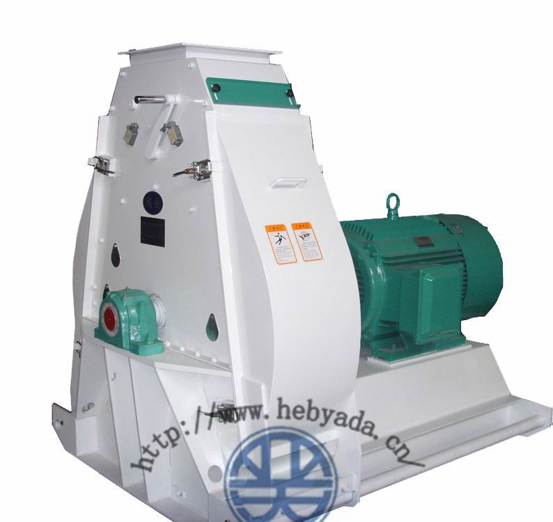 333体育-全网最有气氛的体育赛事直播平台