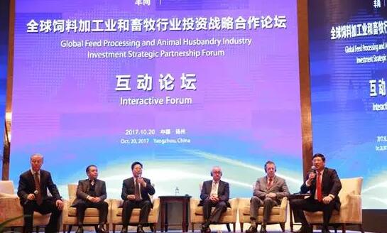 333体育-全网最有气氛的体育赛事直播平台